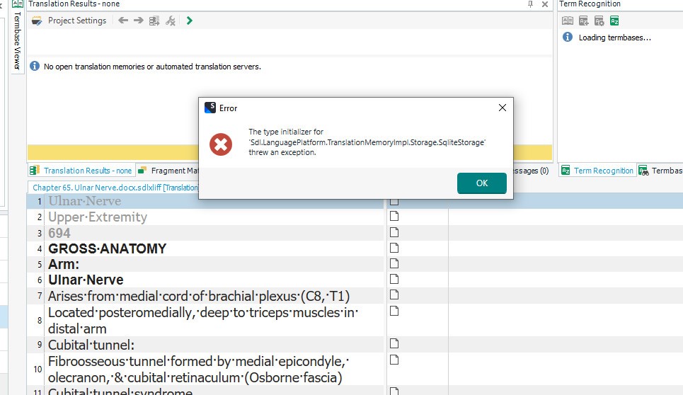 Screenshot of Trados Studio with an error message window stating 'The type initializer for 'Sdl.LanguagePlatform.TranslationMemoryApi.Storage.SqliteStorage' threw an exception.'