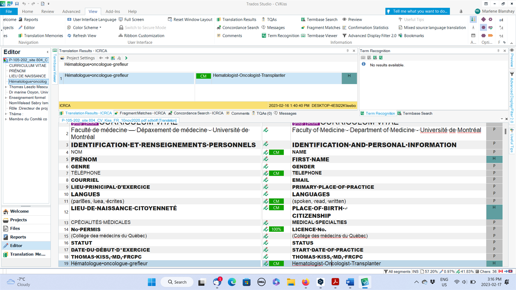 Screenshot of Trados Studio interface with small print and multiple panels open, including 'Editor', 'Translation Results', and 'Term Recognition'. No visible errors or warnings.