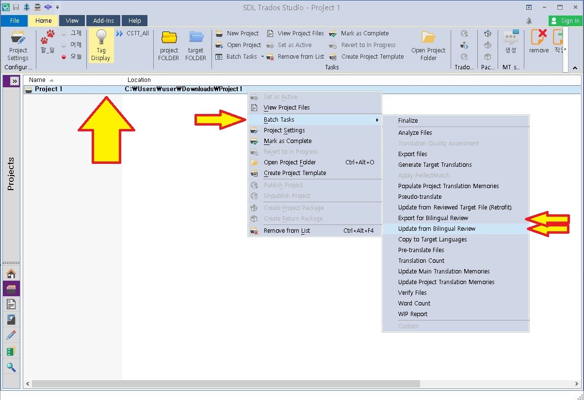 Trados Studio interface showing 'Project 1' selected with arrows pointing to 'Batch Tasks' and 'Update from Bilingual Review' options in the dropdown menu.