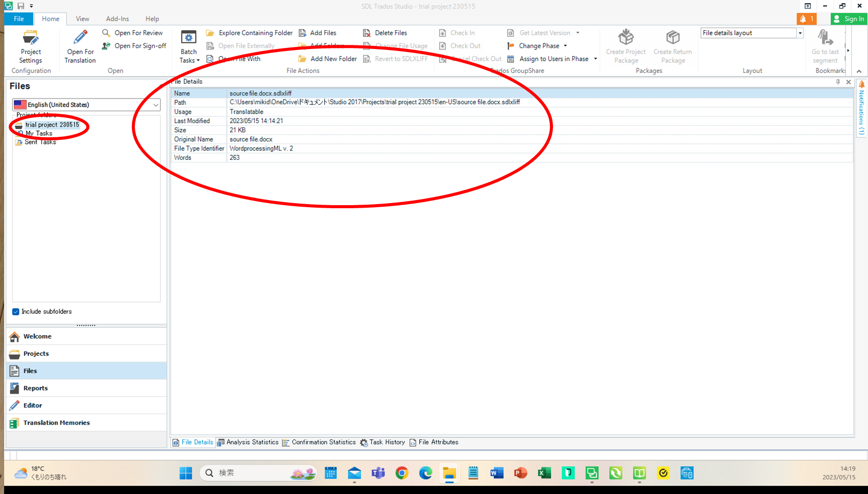 Close-up of SDL Trados Studio interface highlighting the file details section with a red circle, showing file path and details but no content accessible.