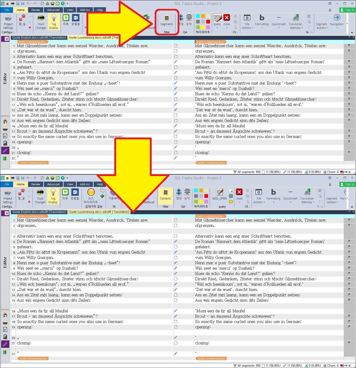 Screenshot of Trados Studio interface with an arrow pointing from 'Segments' filter button to a blank space indicating the toggle action.