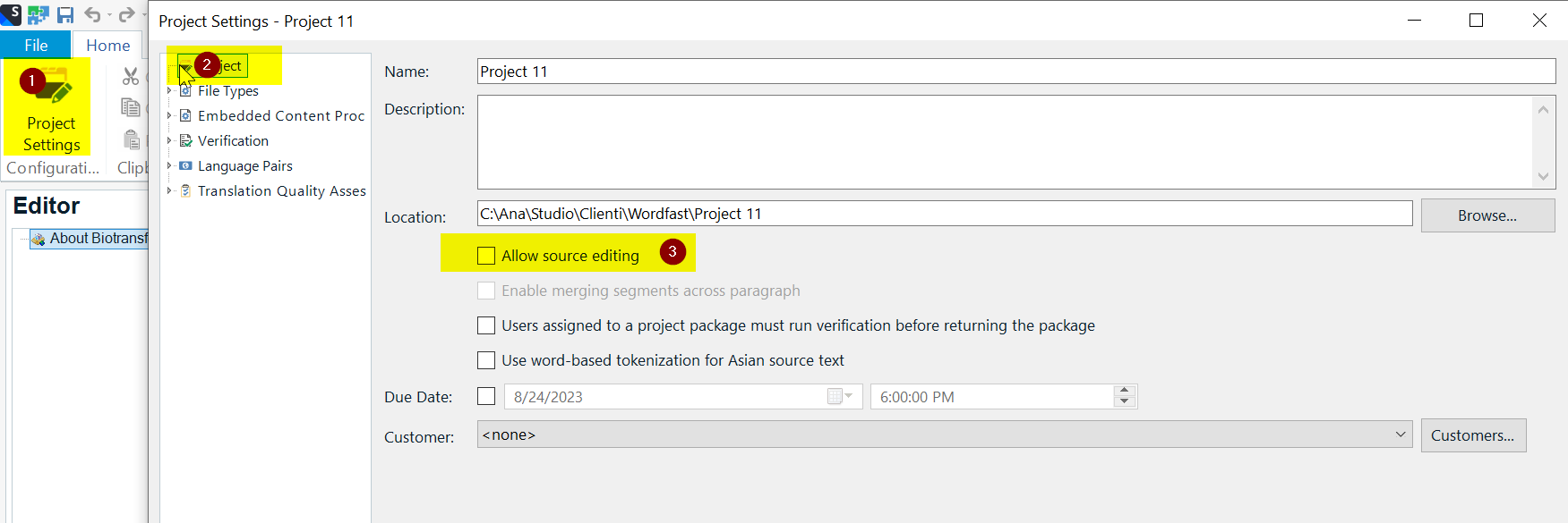 Trados Studio screenshot showing Project Settings with 'Project 11' selected. The 'Allow source editing' checkbox is highlighted indicating where to enable source editing.