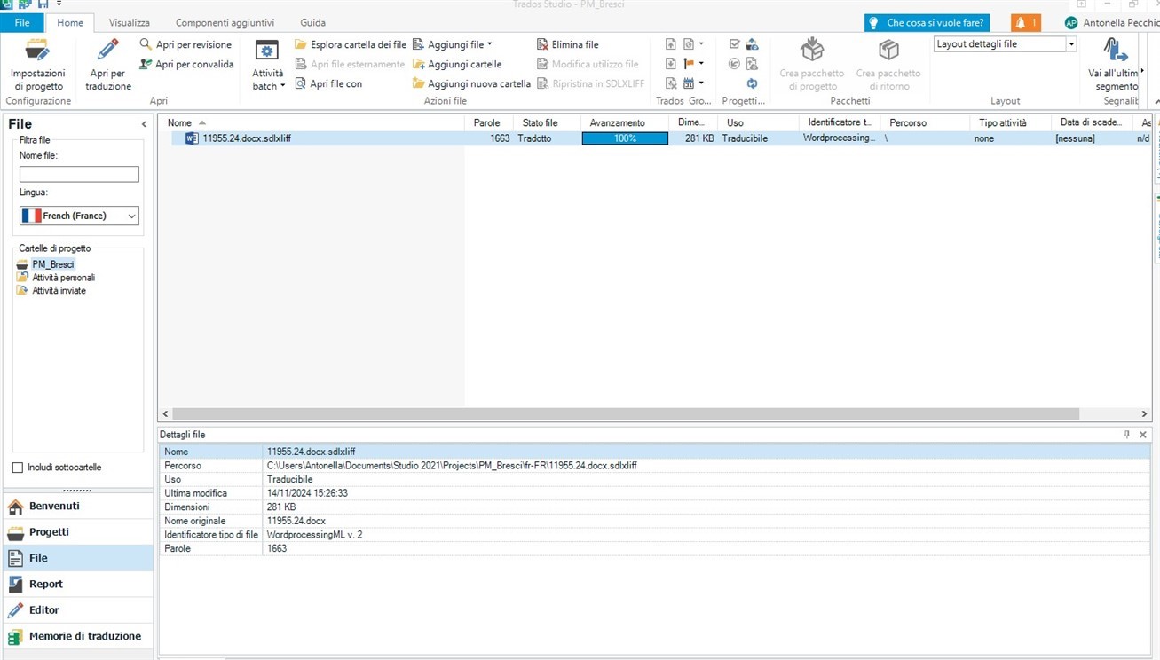 Trados Studio interface with a file selected showing file details including name, path, and word count. The 'File' tab is open with options in Italian.