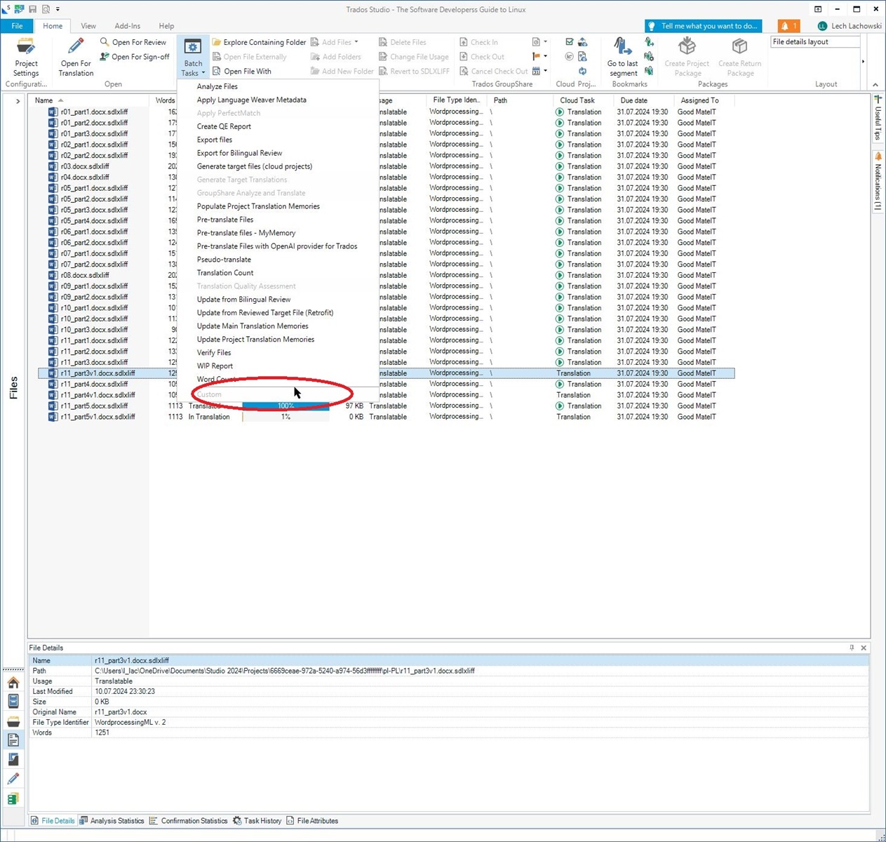 Screenshot of Trados Studio interface showing the Batch Tasks menu with options like Analyze Files, Pre-translate Files, and Verify Files. A red ellipse highlights the absence of a custom batch task option.