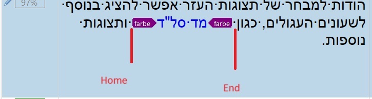 Screenshot of Trados Studio showing Hebrew text with tags 'farbe' highlighted in purple. The cursor is at the end of the line, indicated by the 'End' label with an arrow. The 'Home' label shows the cursor position at the start of the line after the tag.