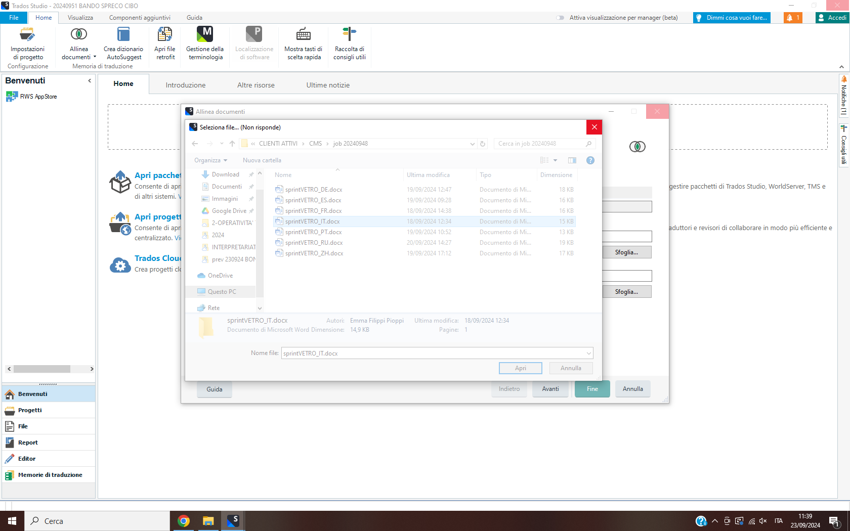 Trados Studio screenshot showing an 'Align documents' window with a 'Non risponde' (Not responding) message, indicating the program is frozen during file upload.