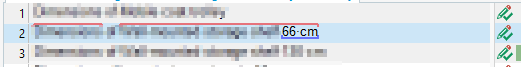 Screenshot of Trados Studio interface showing term recognition with a pale red line above the text '66 cm' and a blue line below it.