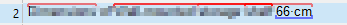 Close-up of Trados Studio interface highlighting term recognition with a darker red line above the text '66 cm' indicating overlapping terms.