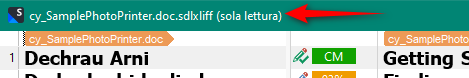 Screenshot of Trados Studio showing a file named 'cy_SamplePhotoPrinter.doc.sdlxliff' with a 'read only' label in Italian ('sola lettura') indicated by a red arrow.