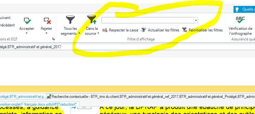 Screenshot of Trados Studio interface with a highlighted filter panel showing options like 'Dans la source', 'Respecter la casse', and 'Reinitialiser les filtres'.