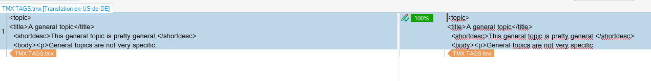 Editor view of TMX file in Trados Studio showing 100% match with source and target segments containing raw HTML tags.