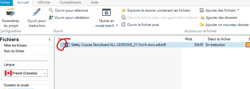 Trados Studio file list showing a small yellow arrow on the file icon indicating it is locked or in use.