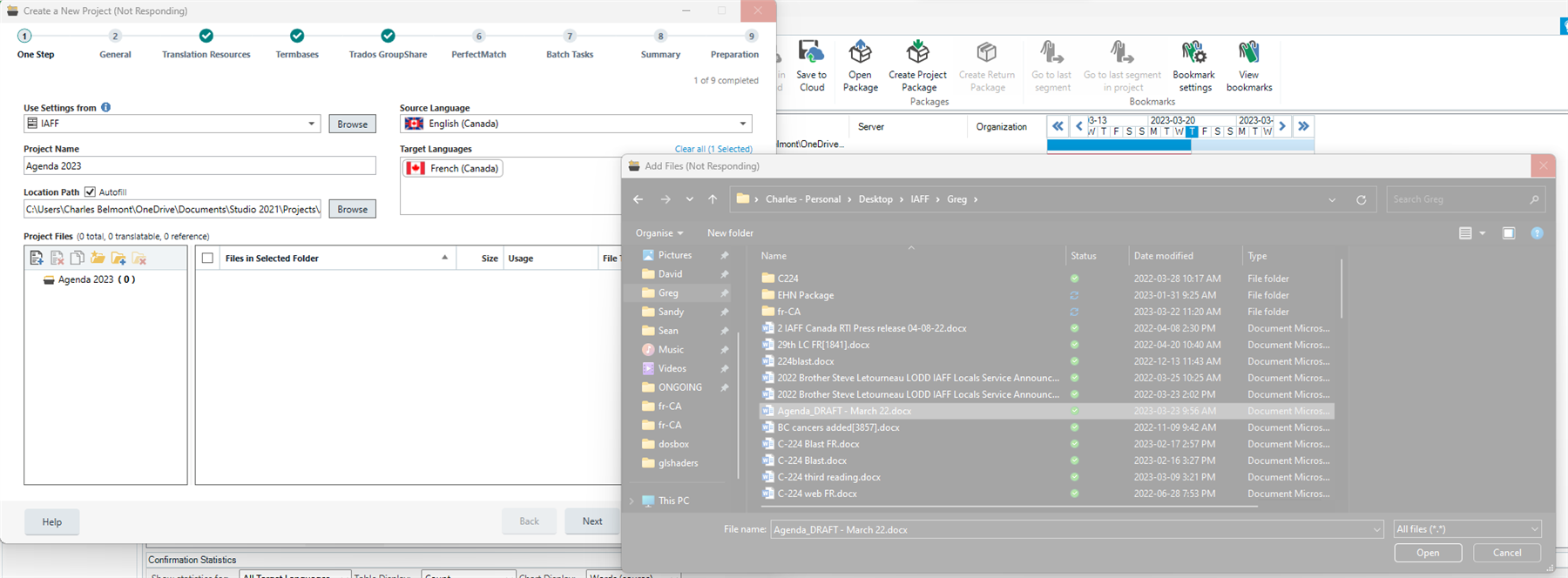 Trados Studio screenshot showing 'Create a New Project' window not responding and 'Add Files' dialog also not responding.