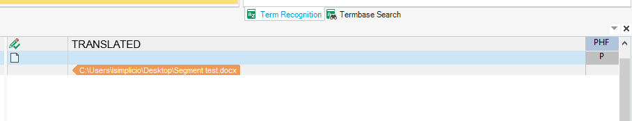 Trados Studio interface showing the 'TRANSLATED' section with a file path 'C:UsersSimplicioDesktopSegment test.docx' indicating a document being processed.