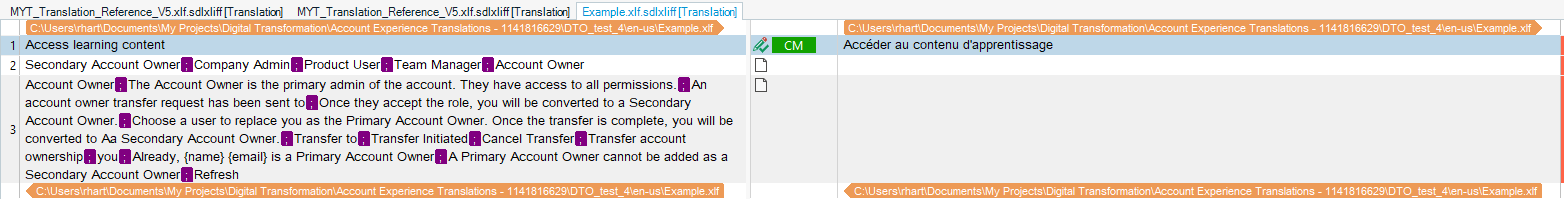 Trados Studio translation segment with colons highlighted in purple, indicating special handling or an error in the translation memory.