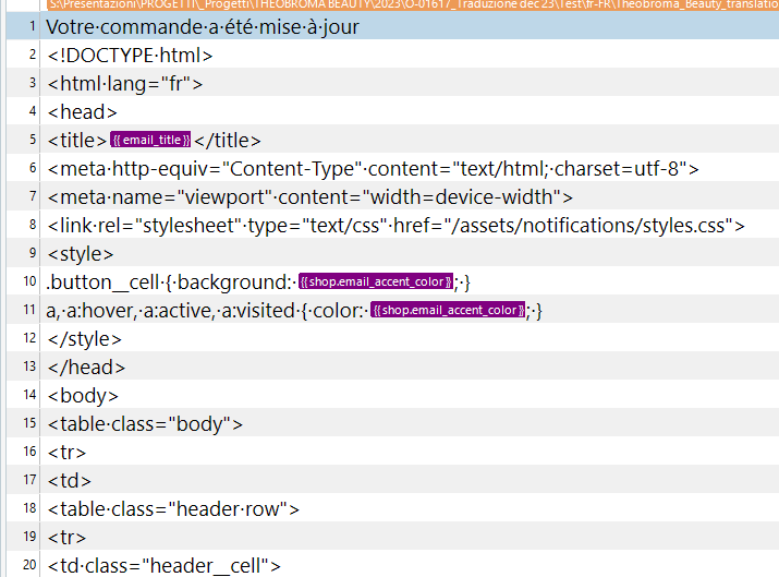 HTML code snippet with placeholders like 'email_title' and 'shop.email_accent_color' indicating areas where translation might be applied.