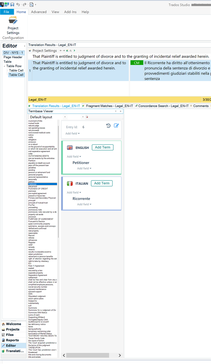 Screenshot of Trados Studio interface showing the Editor with a translation project open. The Termbase Viewer pane is displayed with a small font size for the term list, while the selected term 'Petitioner' in English and 'Ricorrente' in Italian is displayed in a larger font size.