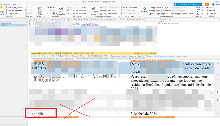 Trados Studio screenshot with an error highlighted in red showing a number '6.45385' instead of the expected date format.
