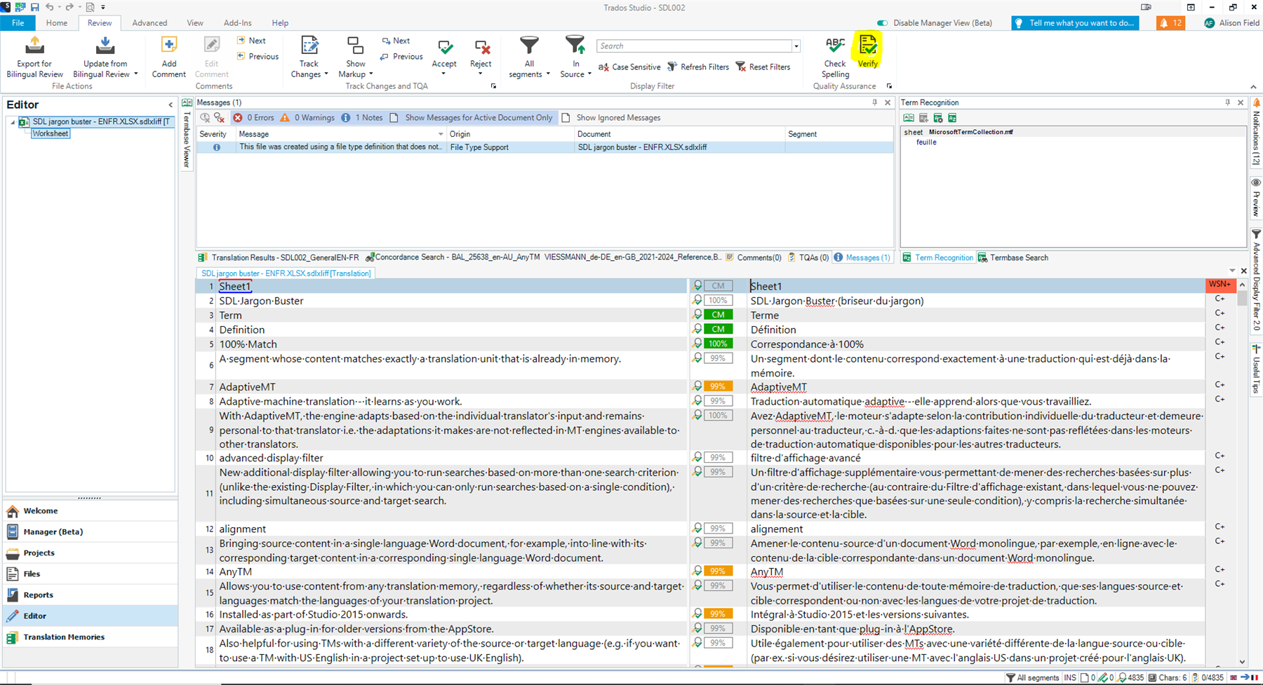 Screenshot of Trados Studio interface showing an open project with a warning message about file type support and various translation segments.