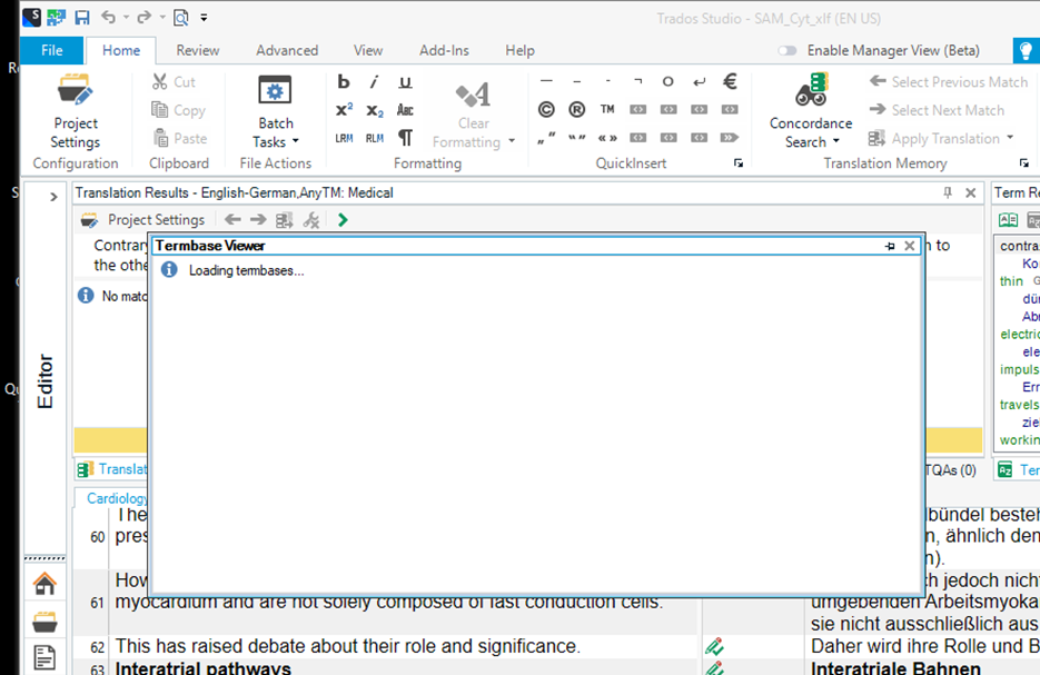 Screenshot of Trados Studio with the Termbase Viewer window open displaying a 'Loading termbases...' message, indicating a possible freeze as the termbases do not appear to be loading.
