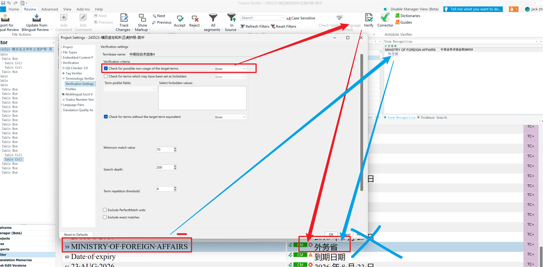 Screenshot of Trados Studio's verification settings window with 'Check for possible non-usage of the target terms' set to 'Error'. The term 'MINISTRY OF FOREIGN AFFAIRS' is displayed in the Term Recognition pane without an error indication.