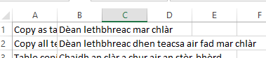 Screenshot of an Excel spreadsheet with two columns, where the source and target texts are merged into a single cell in column A, indicating an import issue.