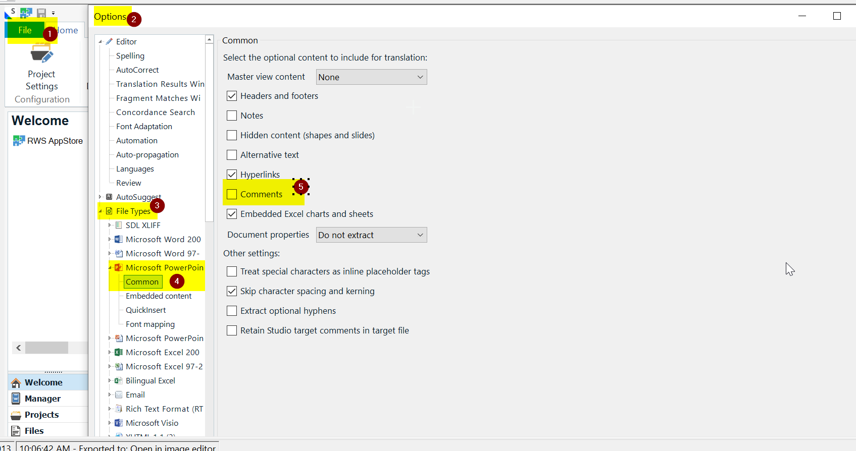 Trados Studio screenshot showing the Options menu with File Types expanded and Microsoft PowerPoint selected. The Common options are displayed with Comments checked.