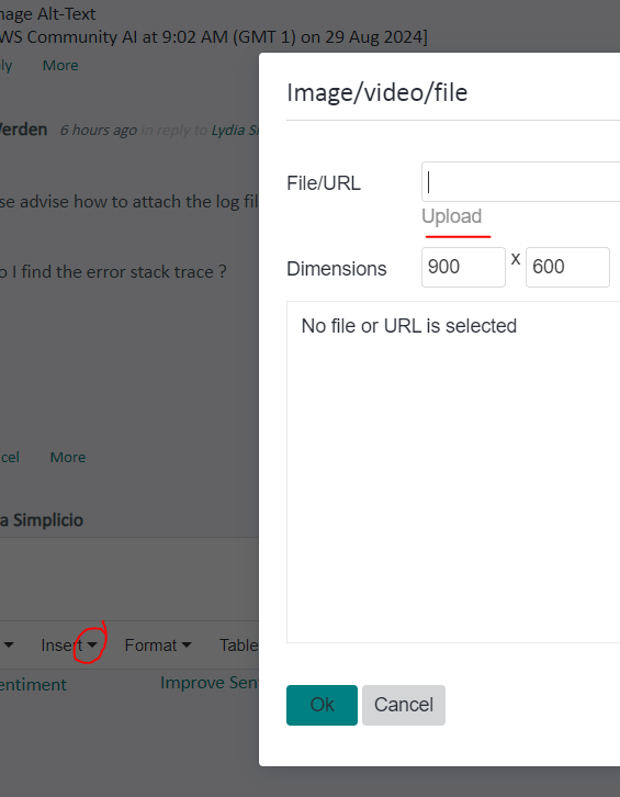 Screenshot of an upload dialog box in Trados Studio with a greyed-out 'Upload' button, indicating a file or URL can be selected, with dimensions specified as 900 by 600.