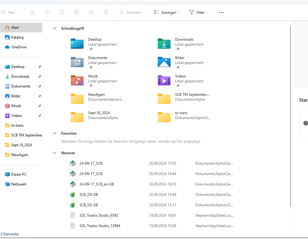 Screenshot of a German-language Windows File Explorer interface. Quick access, Favorites, and Recent files are visible. No visible errors or warnings.