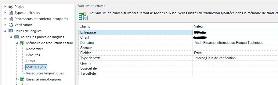 Screenshot of Trados Studio project settings showing customized field values for translation memory with fields like Enterprise, Client, and Domain.