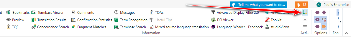 Screenshot of Trados Studio interface showing the View menu with an option 'Advanced Display Filter 2.0' highlighted by a red arrow. A notification icon with the number 13 is visible.