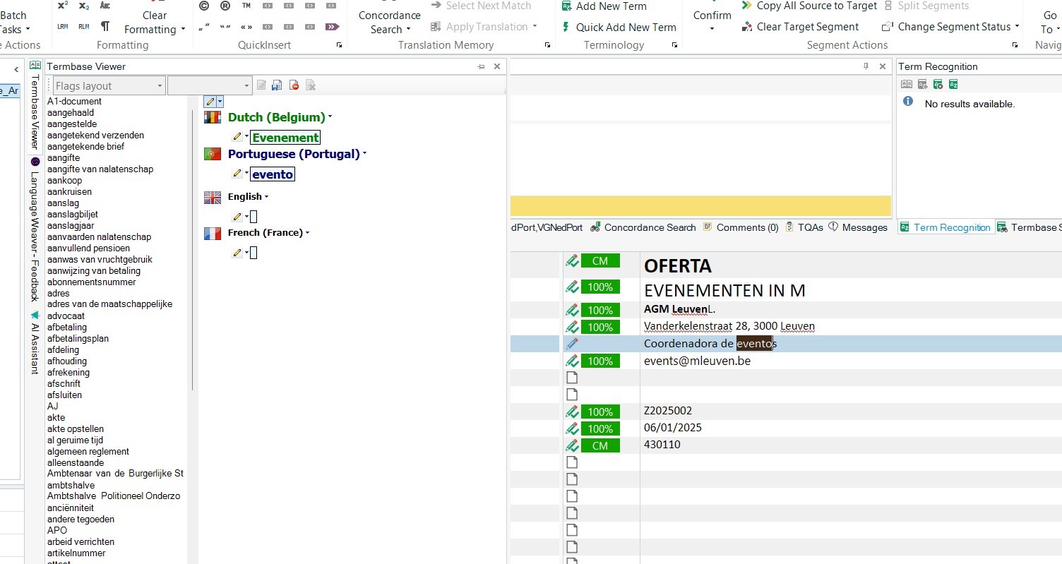 Screenshot of SDL Trados Studio interface showing the Termbase Viewer in Flags layout with terms in Dutch (Belgium), Portuguese (Portugal), English, and French (France). No visible errors or warnings.