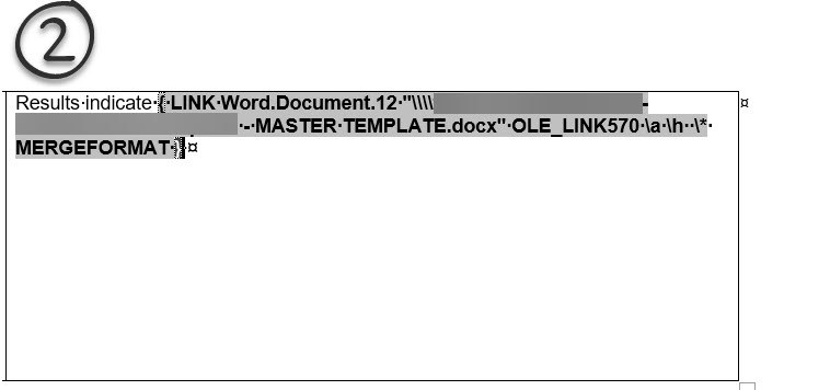Screenshot showing the Word document's code with a LINK field containing a reference to a MASTER TEMPLATE.docx file.