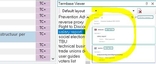 Screenshot of Trados Studio showing the Termbase Viewer with a highlighted issue where the font size in the editing window is extremely small and unreadable after adding new terms.