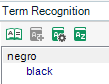 Term Recognition window showing only one recognized term: 'negro,' translated as 'black' in English.