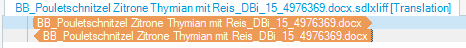 Screenshot of Trados Studio showing document tabs with orange tags indicating the filename at the beginning and end of the file.