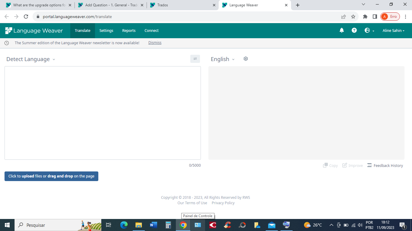 Screenshot of the Language Weaver translation portal with menu options 'Translate', 'Settings', 'Reports', 'Connect', and a notification about a newsletter. The translation input area is empty, and there is an 'Error' icon in the top right corner.
