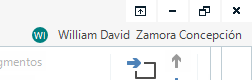Trados Studio window title bar displaying the user's full name as William David Zamora Concepcion.