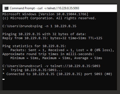 Command Prompt window showing successful ping to Passolo server and successful connection to port 5093.