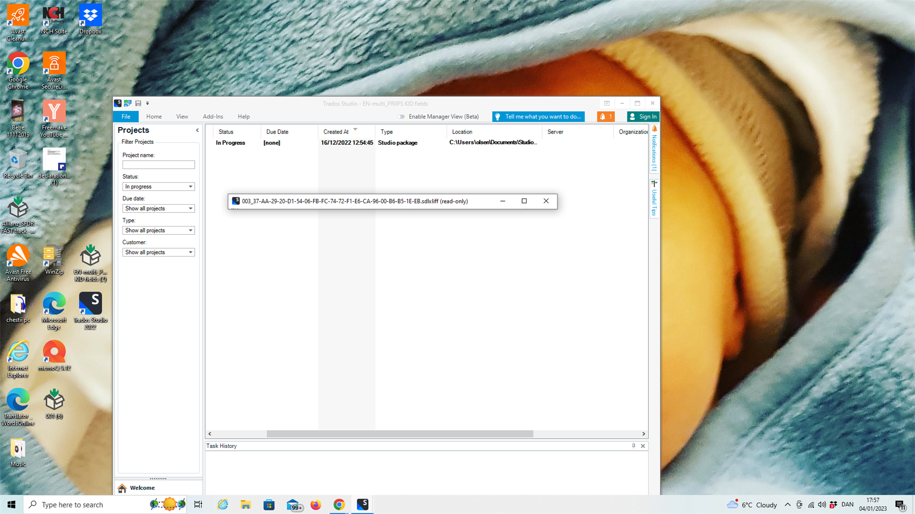 Trados Studio interface showing a project in 'In Progress' status with a file opened in 'read-only' mode indicated by the file name ending with 'read-only'.