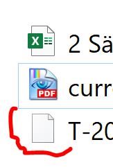 Screenshot showing a file manager with an unrecognized blank file icon circled in red, next to an Excel file and a PDF file with proper icons.