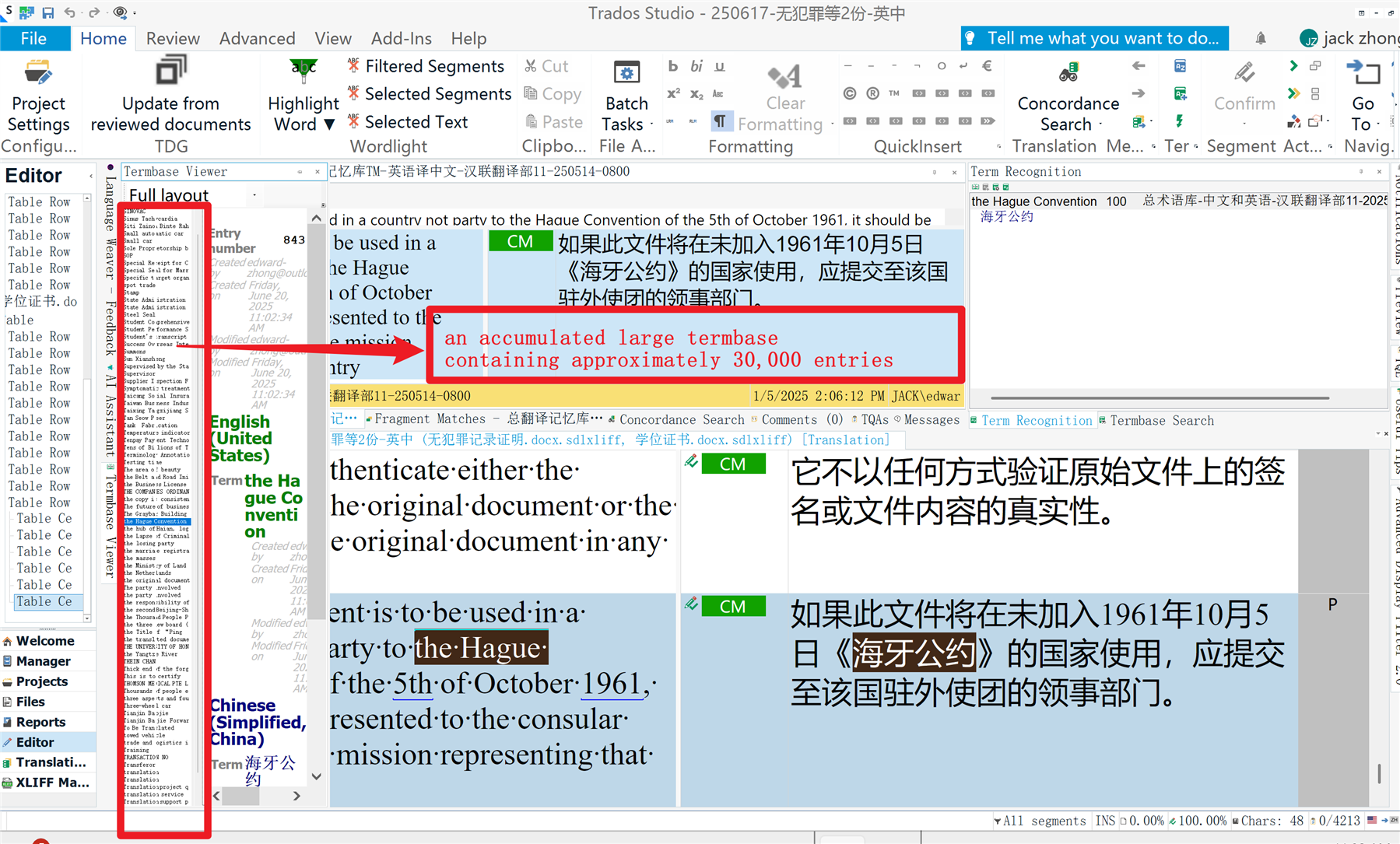 Trados Studio interface displaying a termbase viewer with approximately 30,000 entries, highlighted in red, and a translation segment in focus.