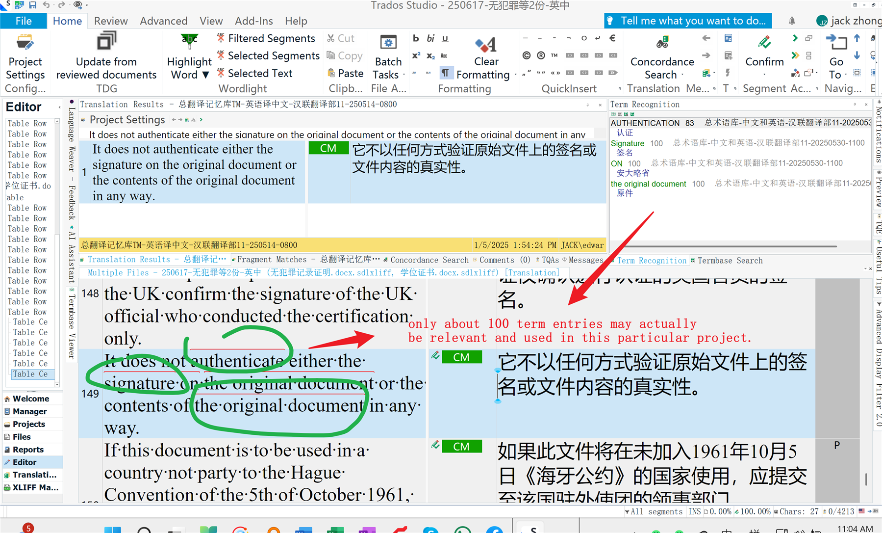 Trados Studio interface showing a segment with green annotations and a red arrow pointing to text indicating 100 relevant term entries for the project.