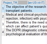 Trados Studio Project Translation Memory view displaying four segments of translated text.