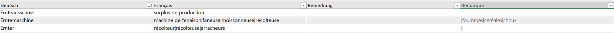 Screenshot of a MultiTerm export showing columns in German and French with terms and their synonyms. The 'Bemerkung' column contains comments in brackets.