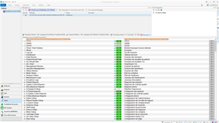 Screenshot of Trados Studio interface showing a JSON file translation project with segments in green indicating translated text.