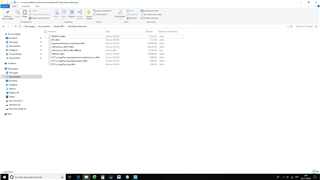 Screenshot of Windows Explorer showing files with washed-out white icons, indicating a possible display or icon corruption issue.