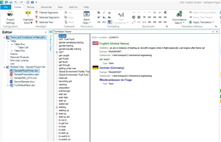 Trados Studio Termbase Viewer with a list of terms in English and German, no visible errors or warnings.