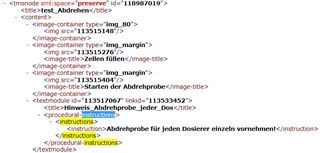 Screenshot of XML code highlighting the procedural-instructions and instruction tags within a text module.