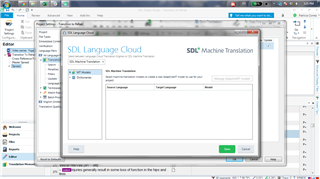 Trados Studio screenshot showing an SDL Language Cloud Machine Translation window with an error message stating 'Some items could not be processed.'